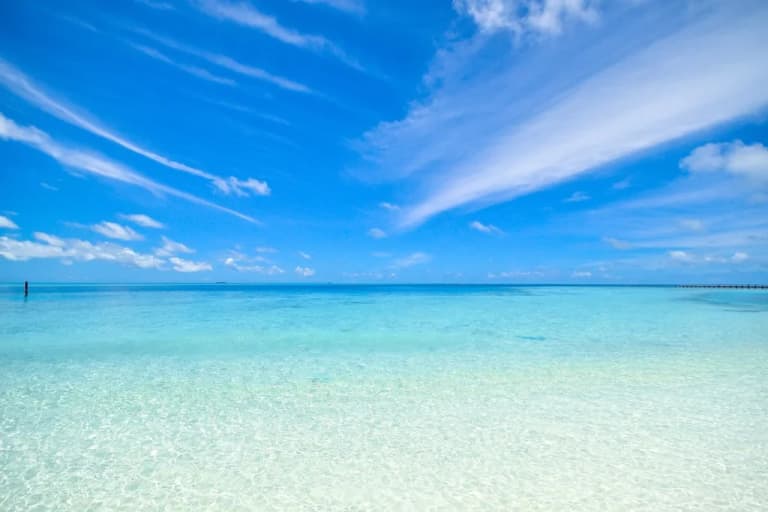 Вчені попереджають: видалення вуглецю з океану може обернутися катастрофою