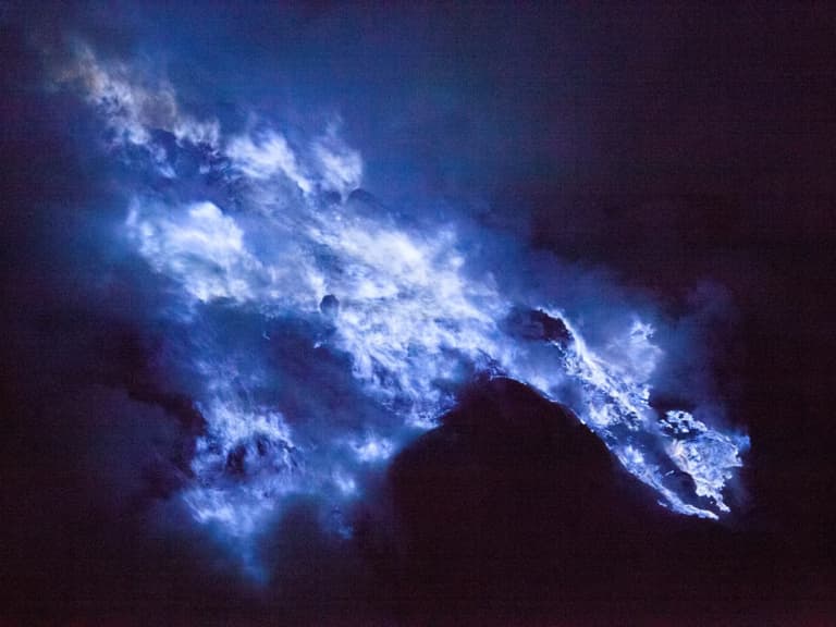 У глибинах океану вчені виявили істоту, яка поглинає вуглець з атмосфери