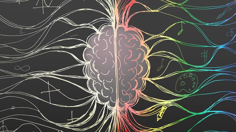 Вчені розкрили прихований зв’язок між мозком та кишківником