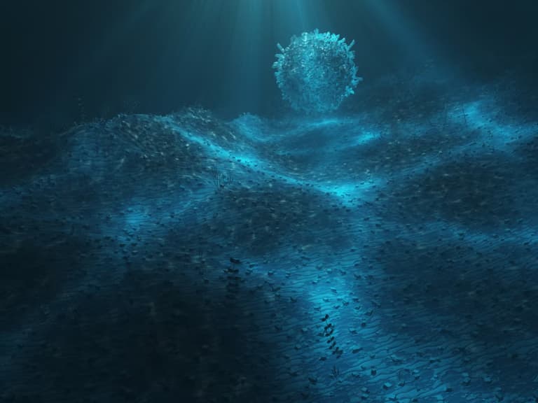 Вчені зафіксували хижу “кулю смерті”, яка рухається морськими глибинами