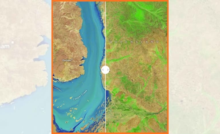Супутник NASA зафіксував спалах яскравого життя в коричневій пустелі