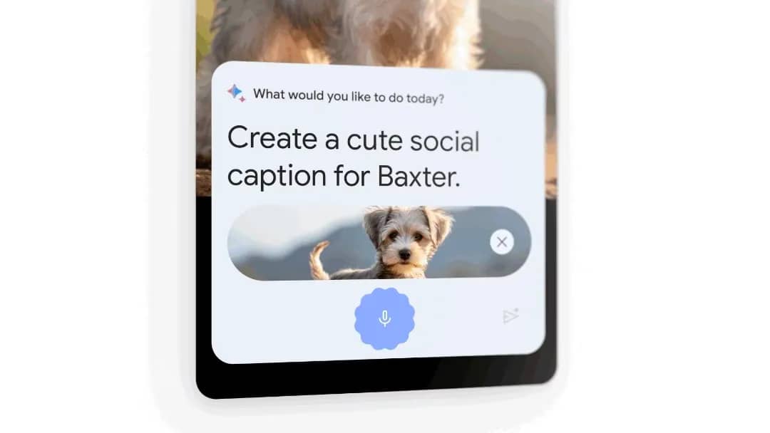 Google розглядає іншу назву для Асистента з Бардом: Gemini