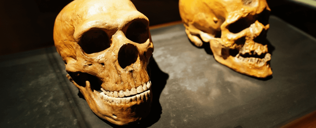 Походження Homo sapiens: нові докази складного еволюційного шляху