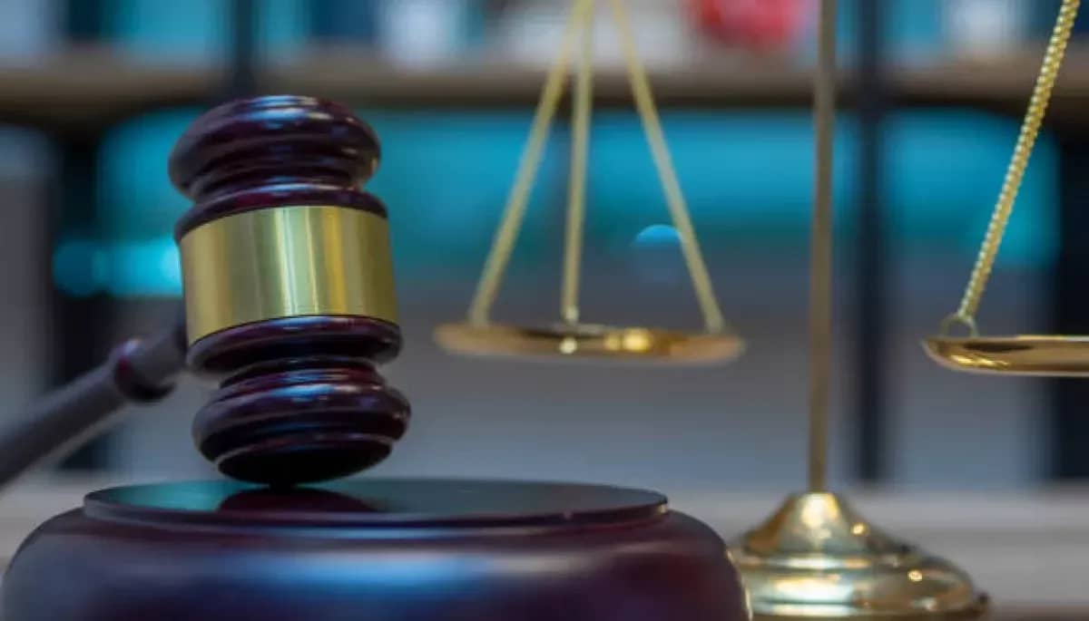 Суд конфіскував палку в українця: дізнайтеся, за скільки тепер її продають на аукціоні (Фото)