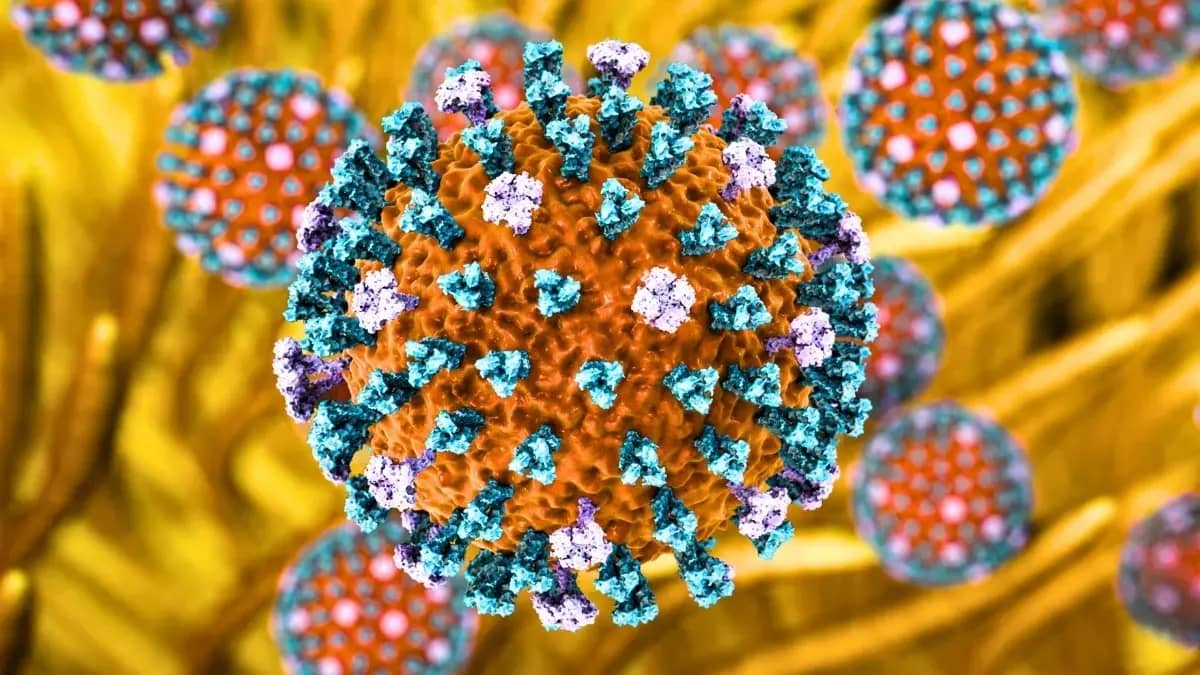 В Європі зафіксували H9N2 у людини: що відомо про випадок