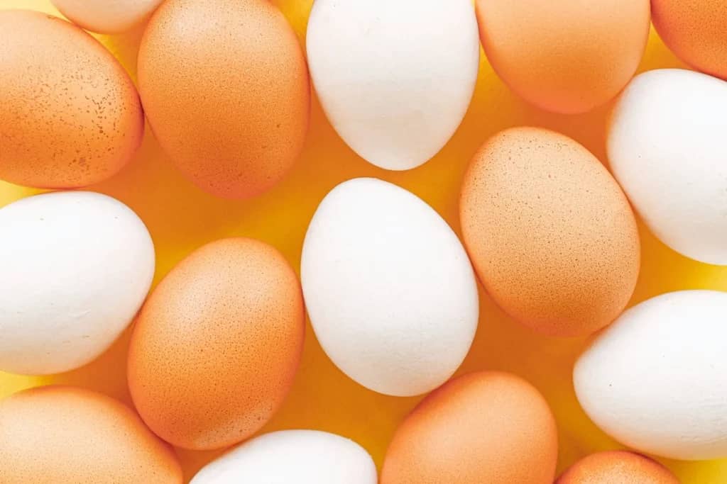 Названі продукти, в яких білка більше, ніж у курячих яйцях