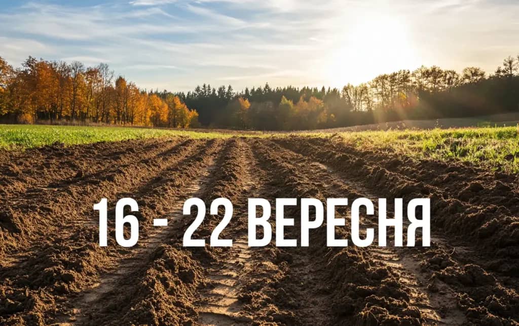 Місячний календар городника і садівника на тиждень з 16 по 22 вересня: що потрібно зробити
