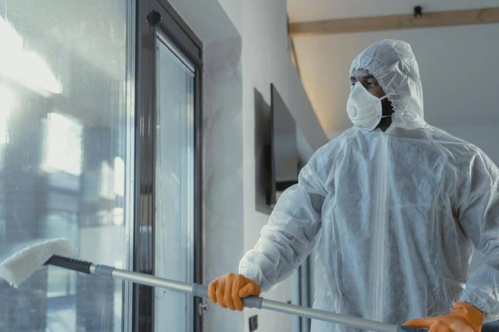 Мишача лихоманка: 3 правила безпеки, які вбережуть ваші нирки цієї весни