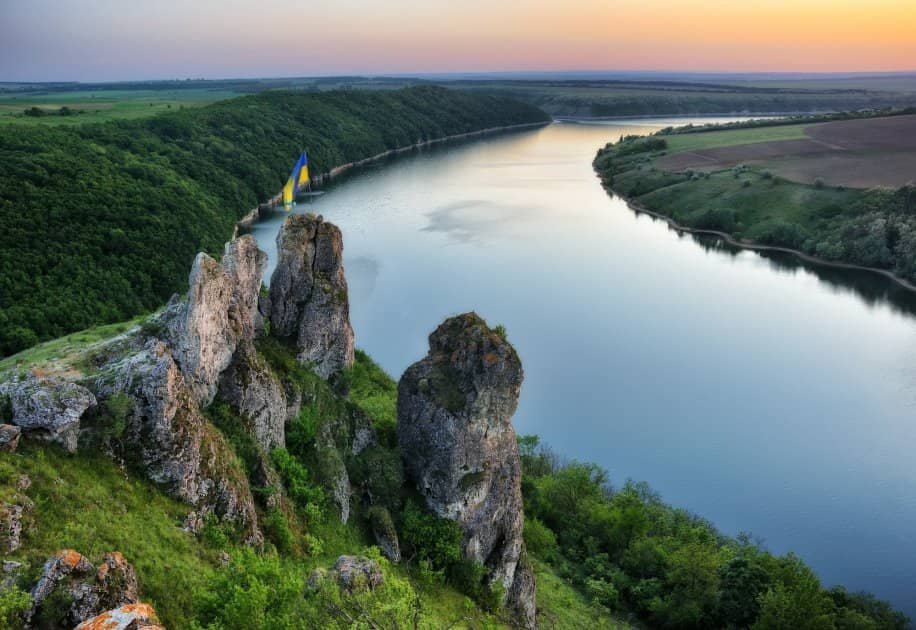 Вчені кажуть, що посадки дерев посилять потепління на Землі