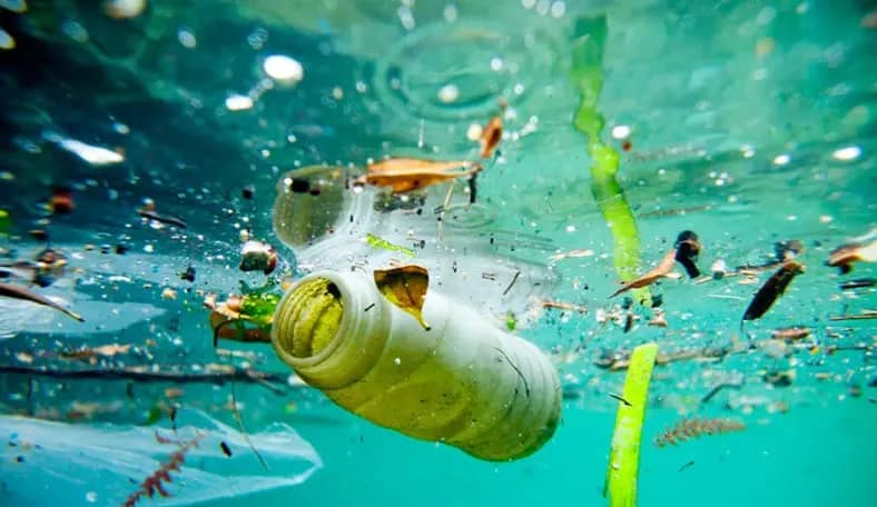 Вчені виявили мікропластик на глибині до 2 кілометрів під водою