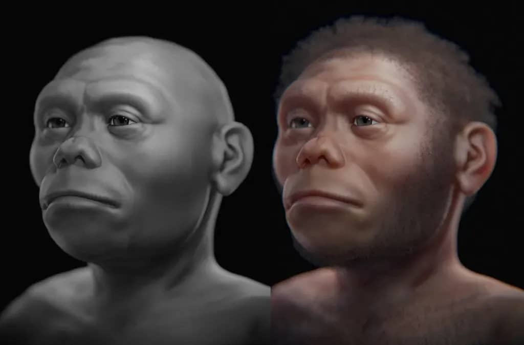 Нові дані ставлять під сумнів «мисливські» навички Homo floresiensis і їхнє володіння вогнем