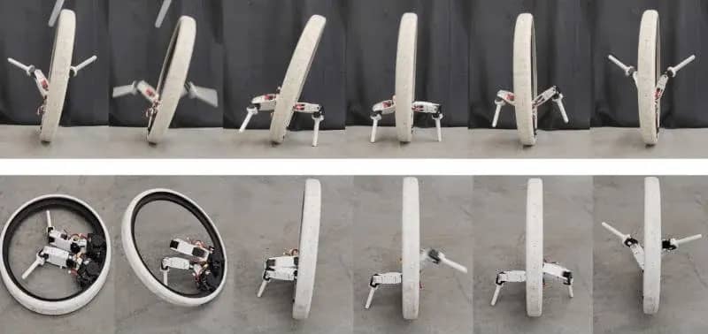 Вчені створили моноколісного робота Ringbot