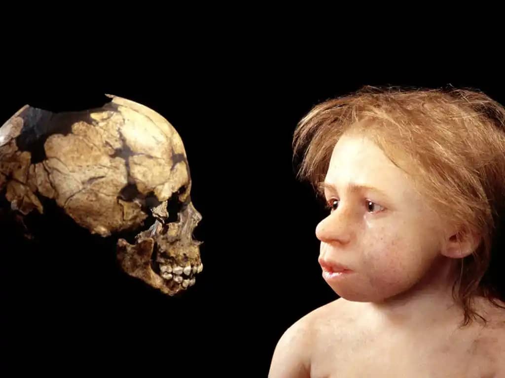 Гібрид Homo sapiens і неандертальця віком 24 000 років переписує історію людства