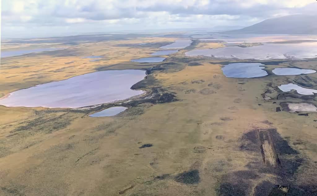 Під Фолклендськими островами виявлено ліс, якому 30 мільйонів років