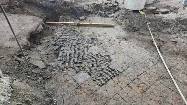 У Нідерландах знайшли багатовікову підлогу, залатану шматочками кісток