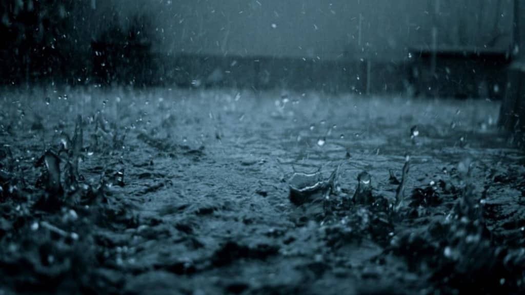 Вчені знайшли абсолютно новий тип життя глибоко в ґрунті