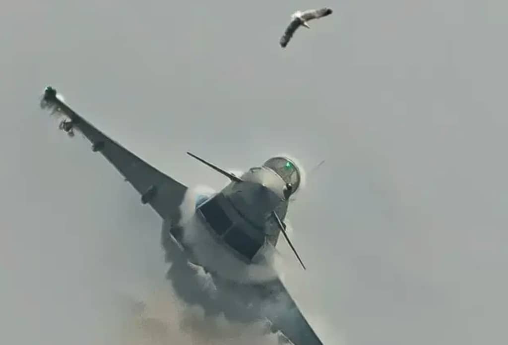 Фотограф зафіксував момент зіткнення винищувача Eurofighter Typhoon із птахом