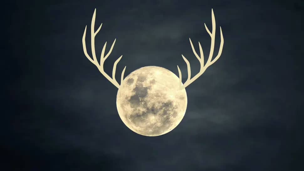 Чому липнева «Buck Moon» така особлива цього року