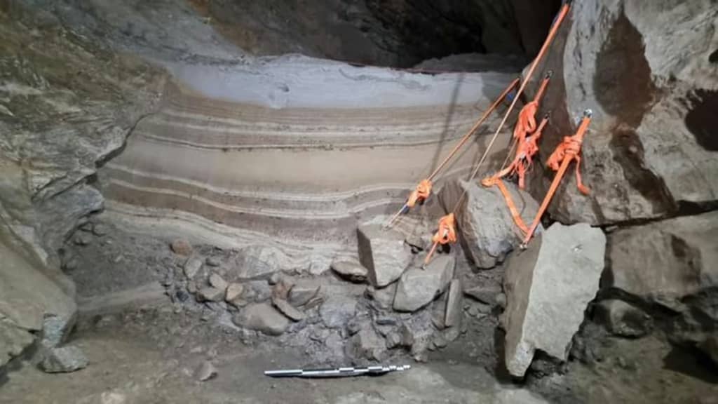 В печері Норвегії знайдено арктичну спільноту тварин віком 75 тисяч років