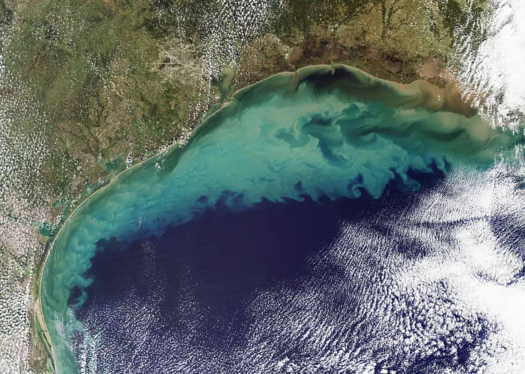 Мікропластик загрожує морському життю в Мексиканській затоці