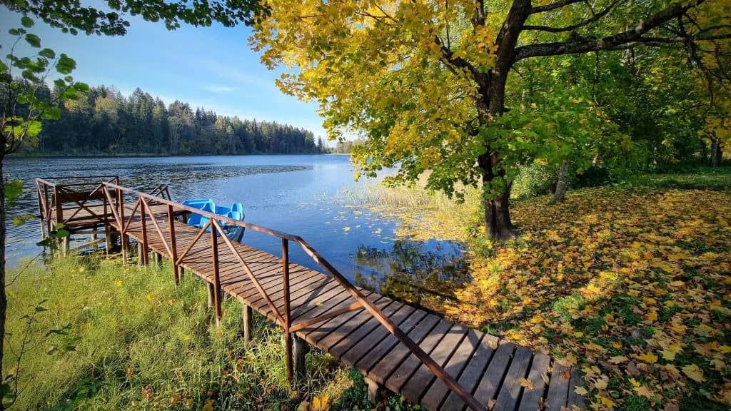 Осіннє рівнодення: день і ніч зрівняються вже цього понеділка