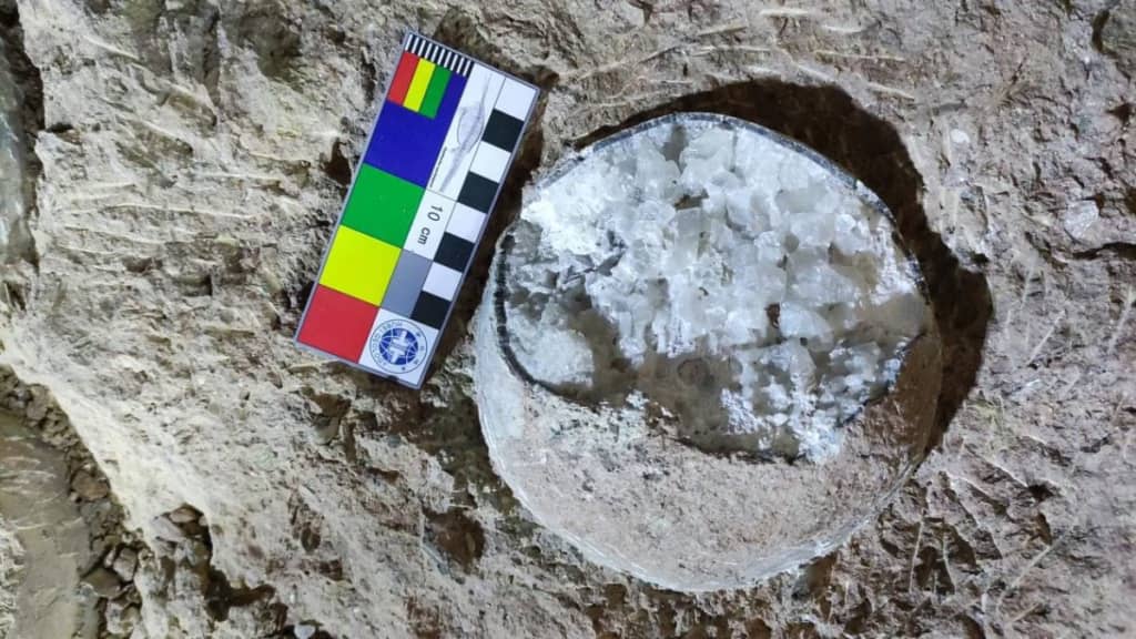 Вчені вперше точно визначили вік яєць динозаврів