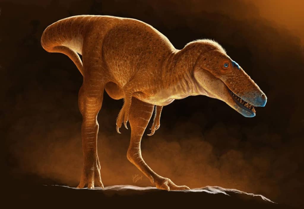 Палеонтологи виявили «Принца Драконів» — найдавнішого відомого родича T. rex