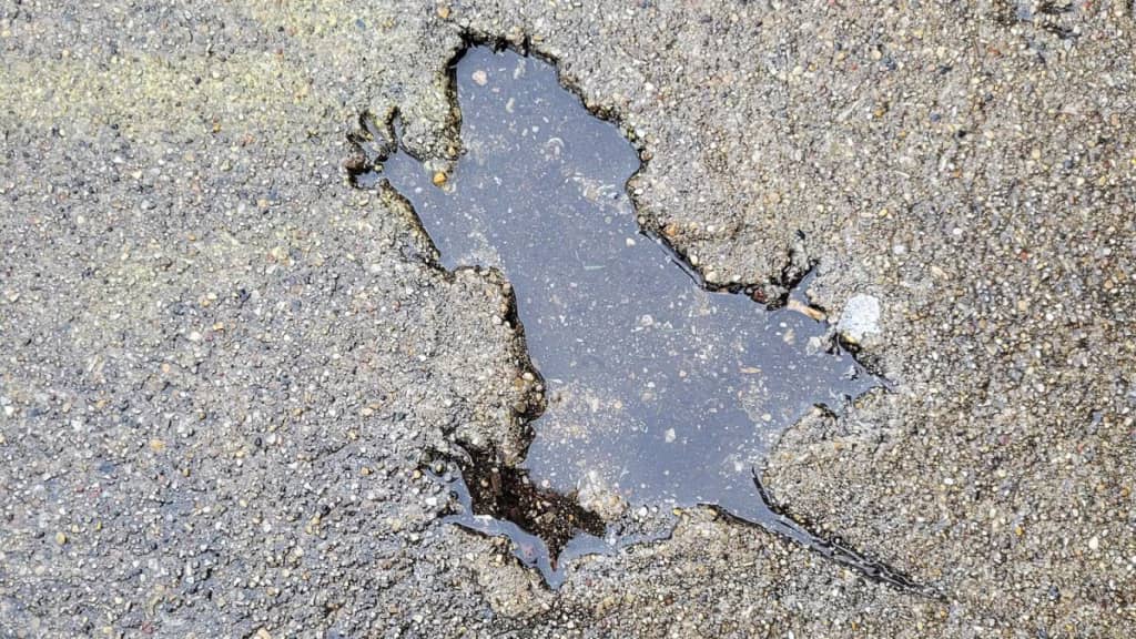 Вчені розгадали таємницю чиказької «щурячої нори»