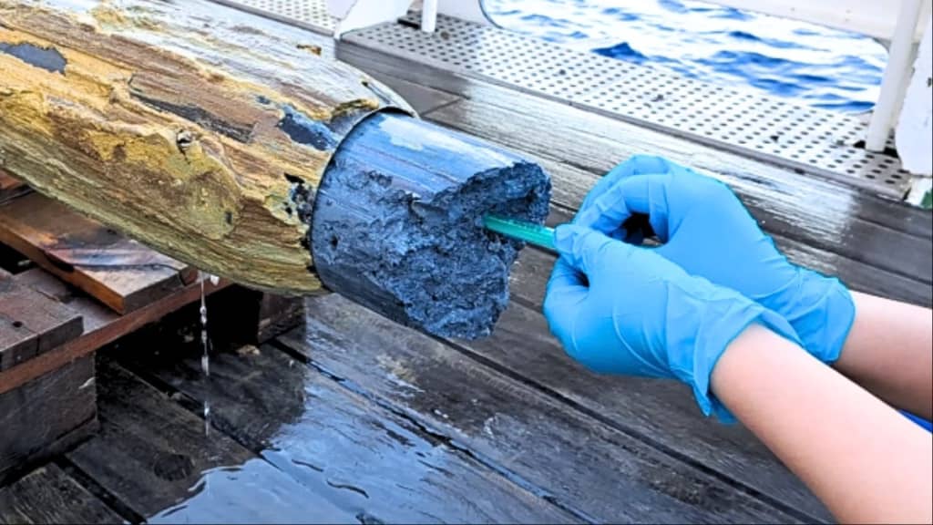 Вчені виявили сліди життя у вулканічній речовині під океаном