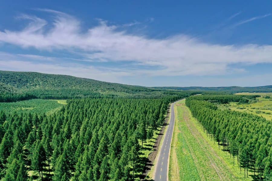 Озеленення Китаю порушило його водний цикл