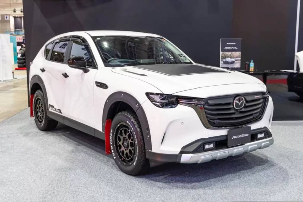 Представлений Active XRoss CX-60