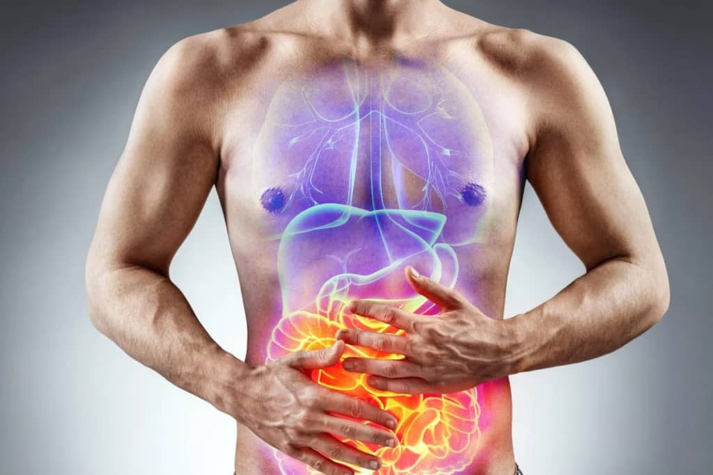 Вчені з’ясували, що стоїть за хронічними запаленнями кишківника