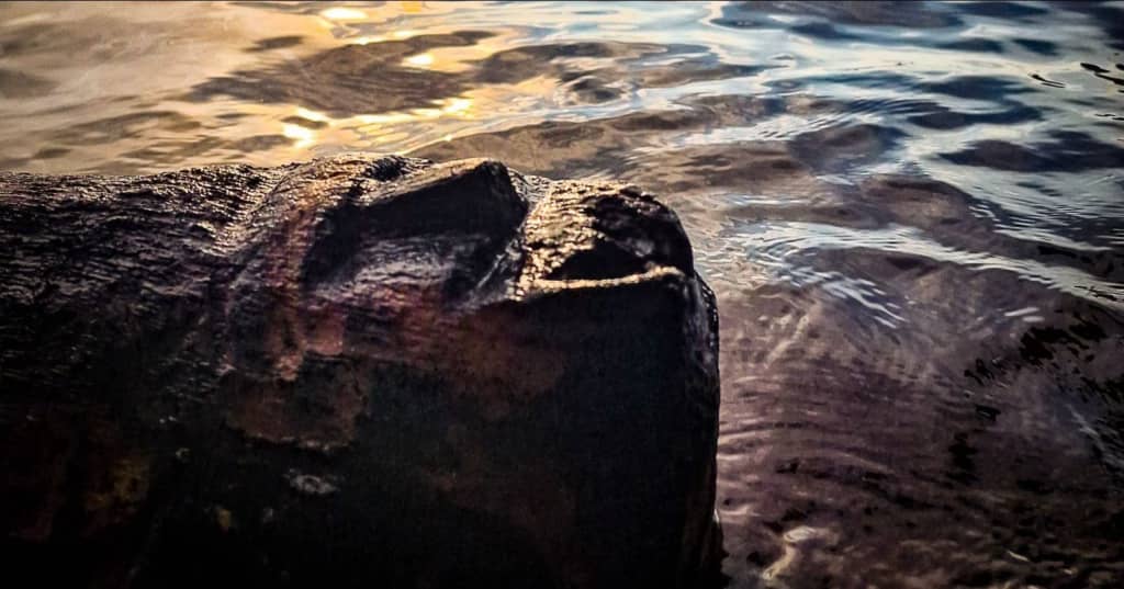Таємниче обличчя з-під води: як у озері виявили артефакт раннього Середньовіччя