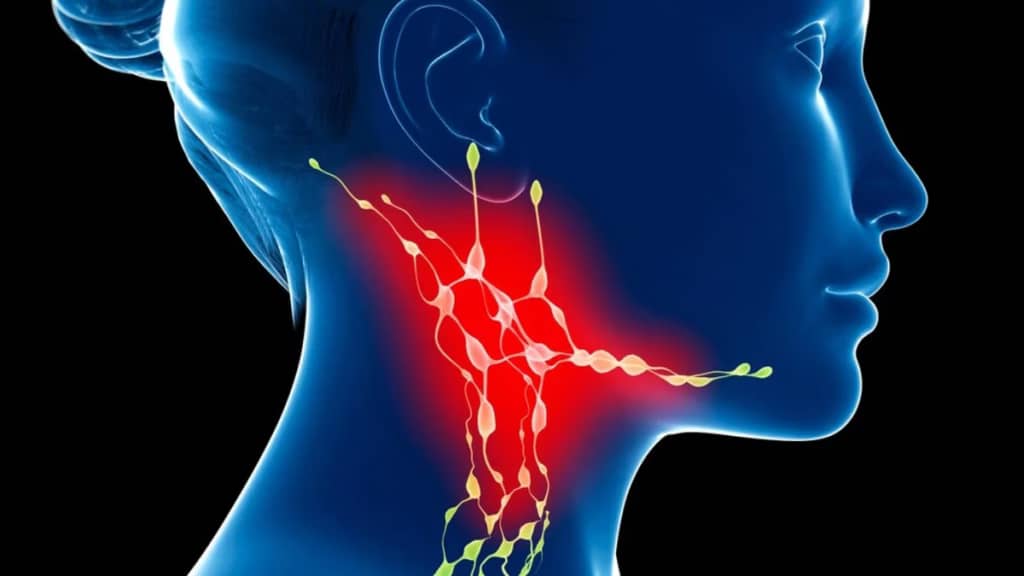 Лімфатичні вузли на шиї можуть впливати на старіння мозку