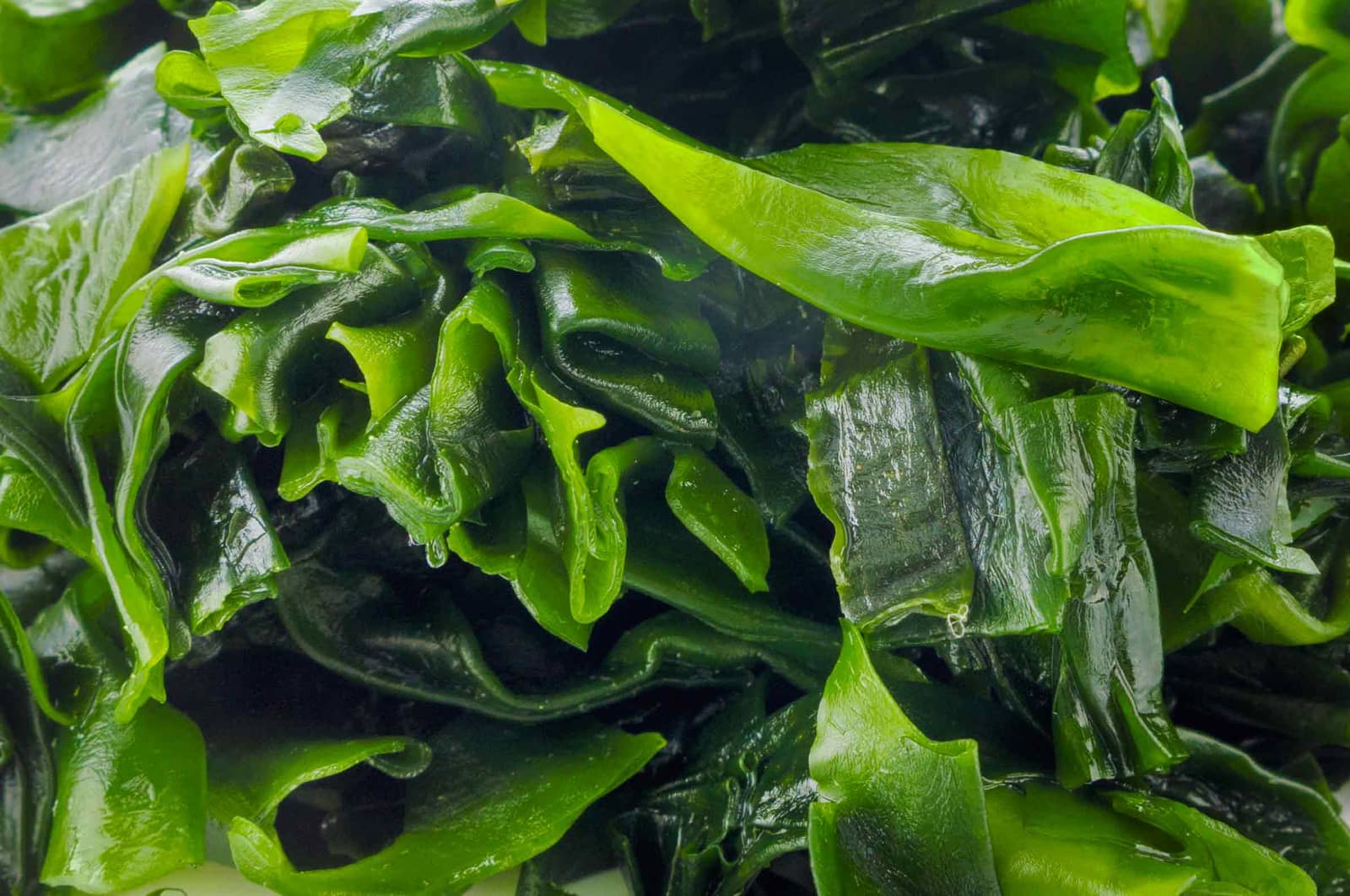 Вчені назвали продукт, який врятує людство від голоду в разі ядерної зими