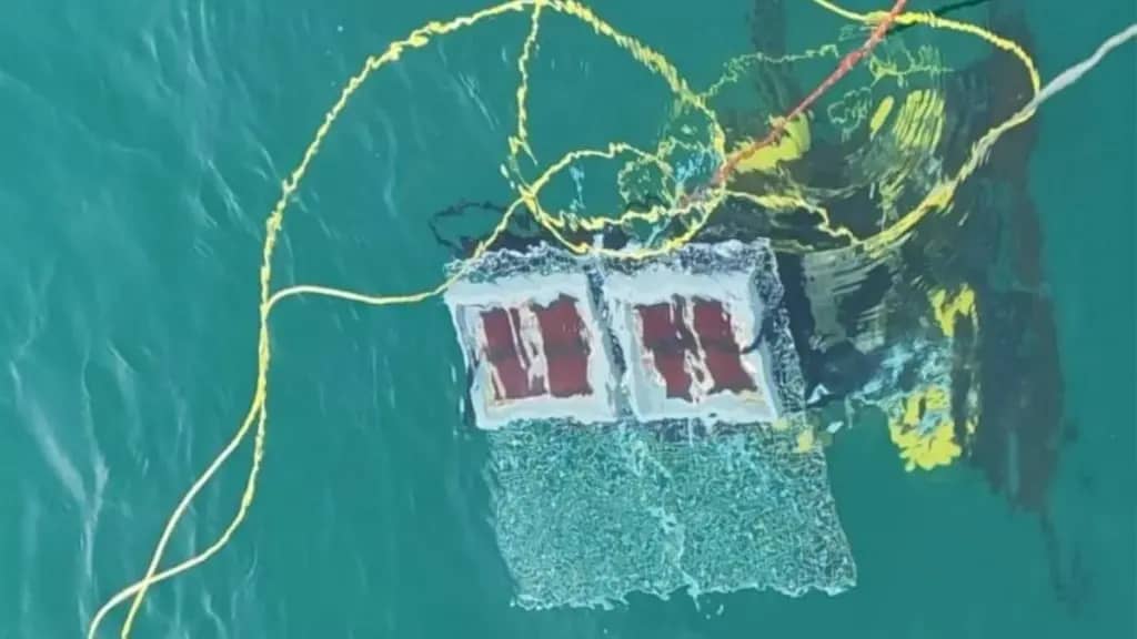 Китайські вчені занурили сонячні панелі на 10 метрів під воду і зарядили батареї