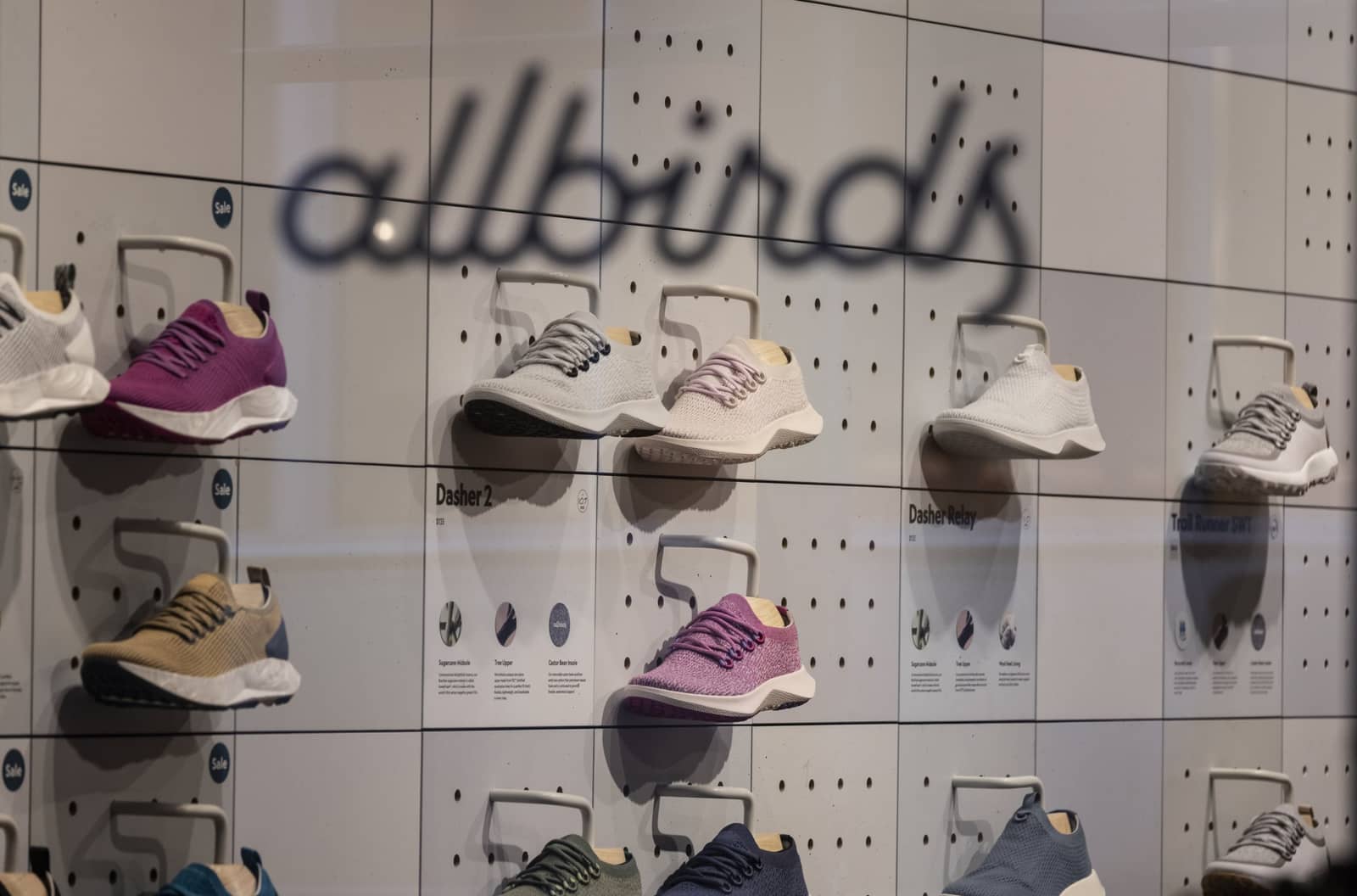 Allbirds переходить від взуття до штучного інтелекту, а акції зросли на 600 відсотків