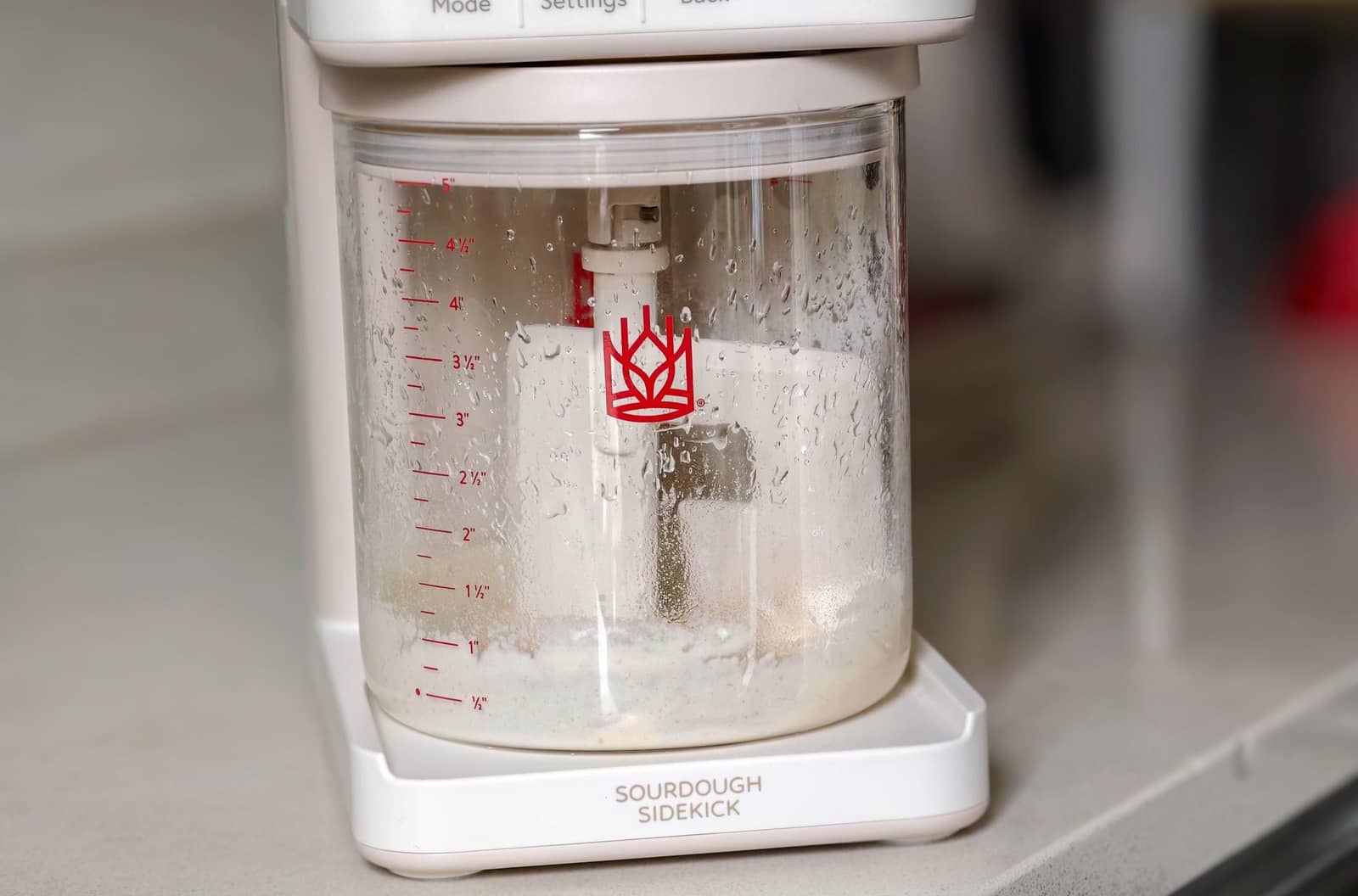 Sourdough Sidekick: автоматизація приготування закваски