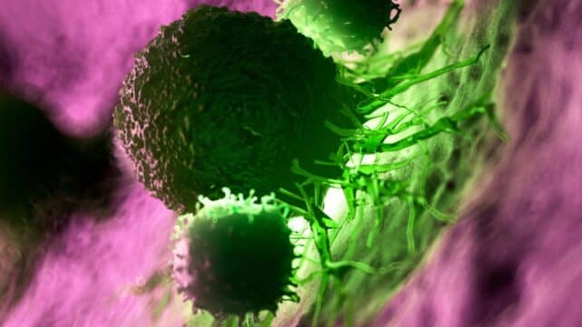 Цього тижня в науці: гігантські восьминоги, обнадійлива вакцина від раку та інше!