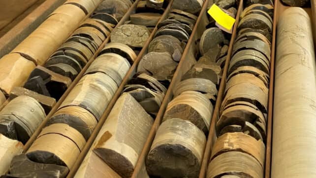 Секрети давніх каменів: як збереглися мікрофосили