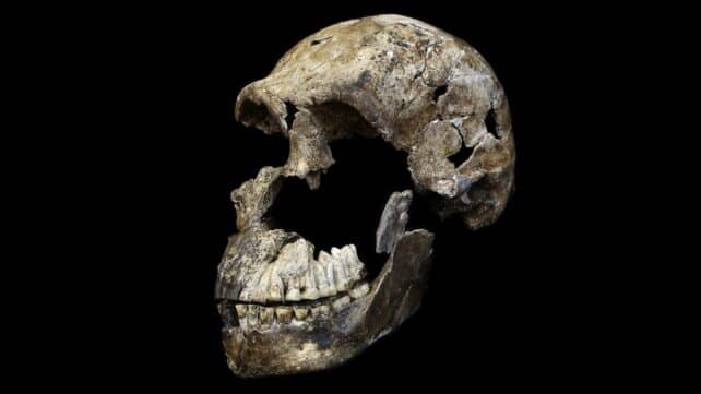 Єдине відоме місце поховання Homo Naledi може бути повністю жіночим