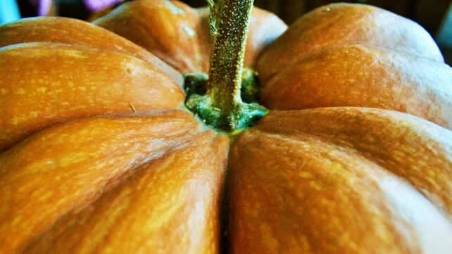 Шкірка гарбуза: новий спосіб зберігати продукти свіжими