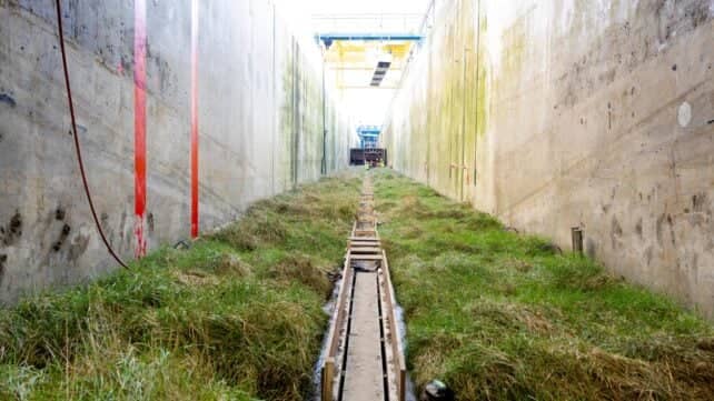Вчені пересадили 306 квадратних метрів дикого солончака у найбільшу хвильову машину світу