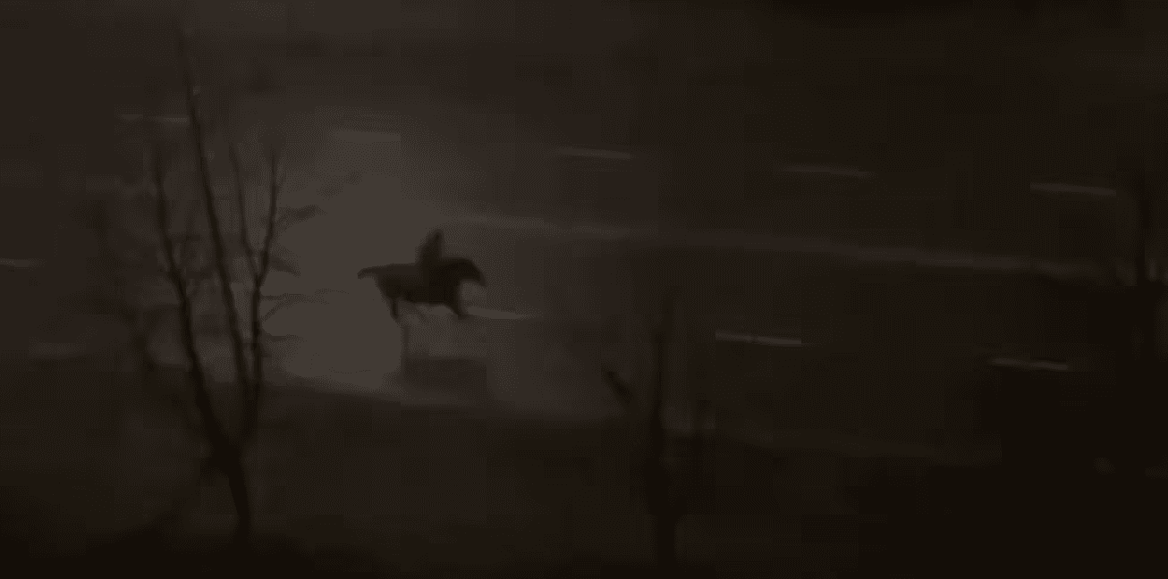 На Хмельниччині вночі чоловік на коні втікав від поліції: (Відео)