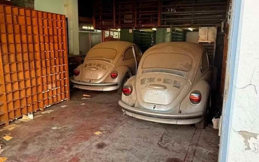 У Португалії знайшли класичну колекцію Volkswagen, яка зберігалася з 2001 року