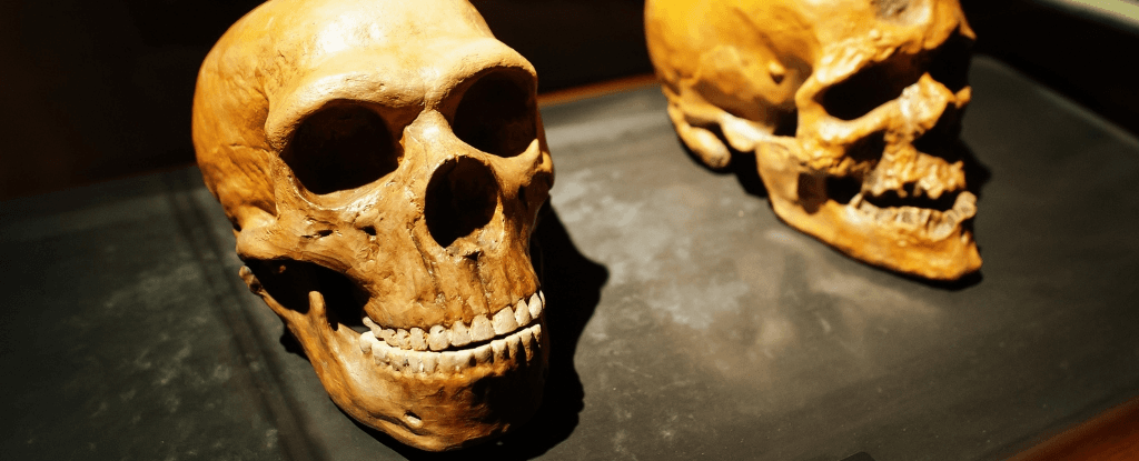 Походження Homo sapiens: нові докази складного еволюційного шляху