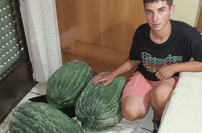 Важить як пральна машина. Підліток з Іспанії вирощує гігантські дині, одна з них стала найбільшою у світі