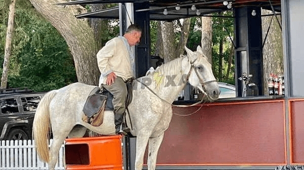 Don’t push the horses: на Дахнівському пляжі помітили вершника біля кафе з пивом