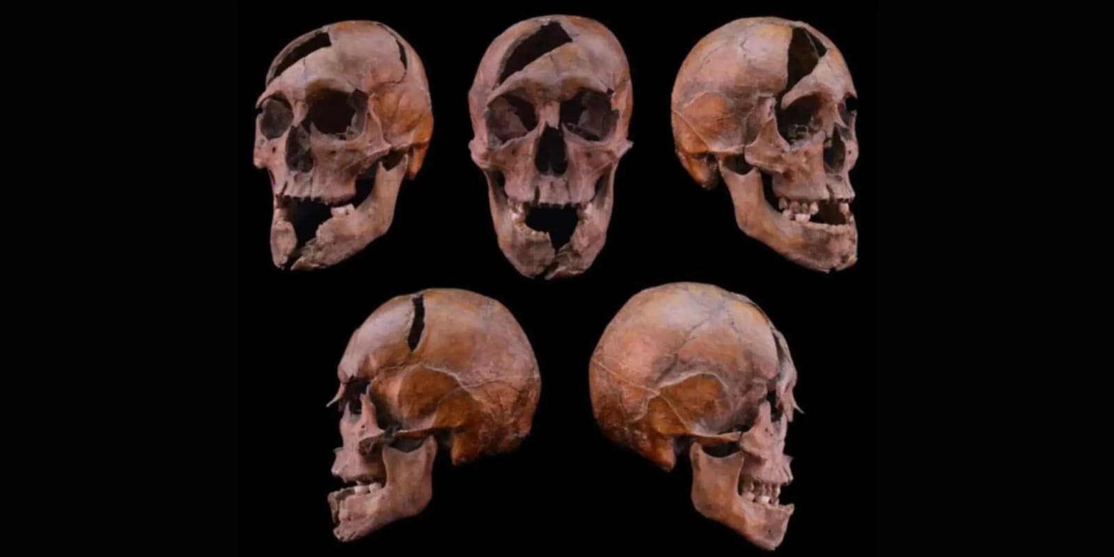 В Угорщині знайшли поховання князя з династії Рюриковичів