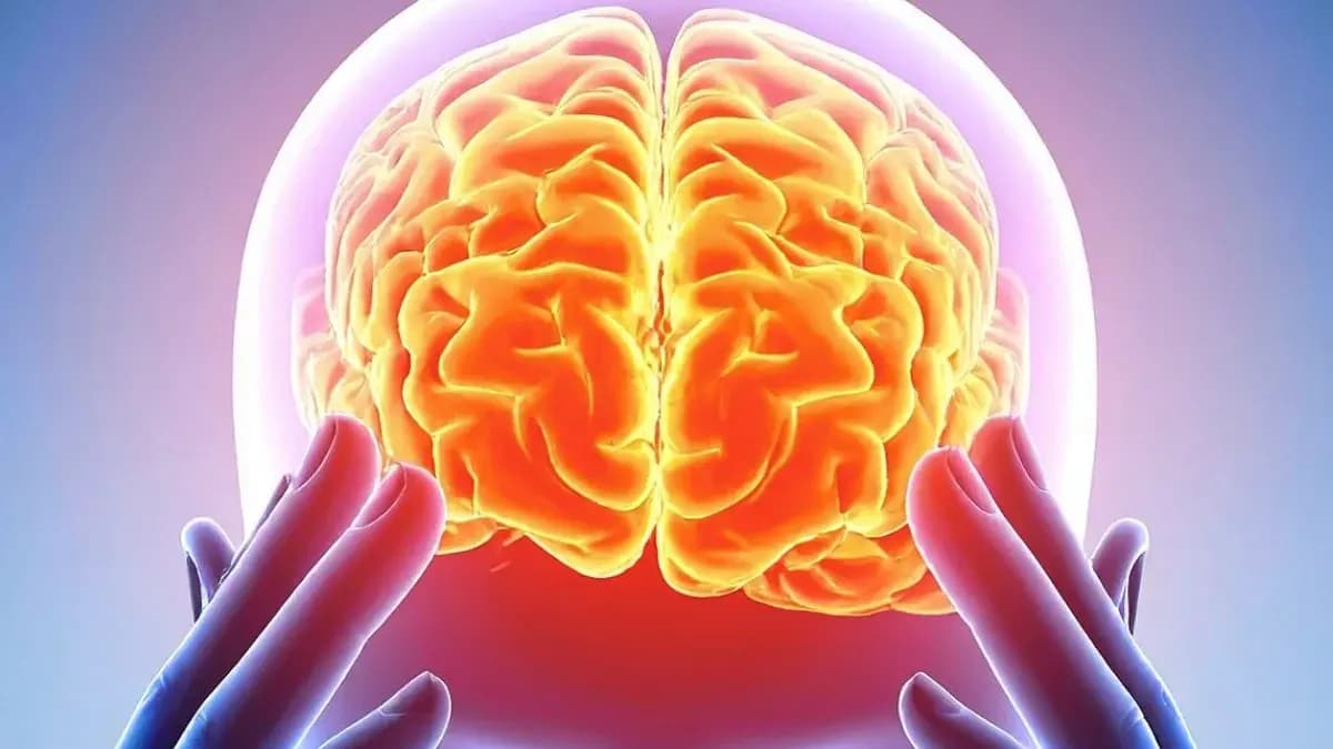 Вчені з’ясували, що всі психоделіки впливають на мозок однаково